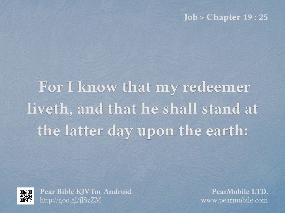 Job, Chapter 19:25